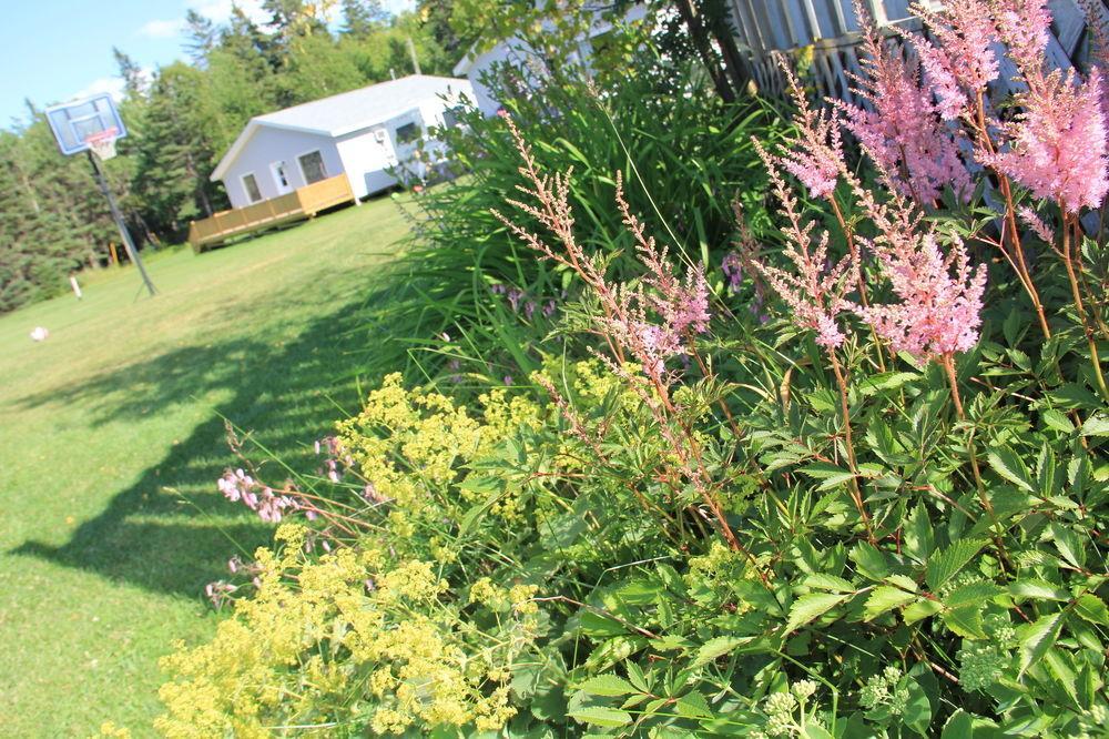 Hidden Acres Cottages Кавендиш Екстериор снимка