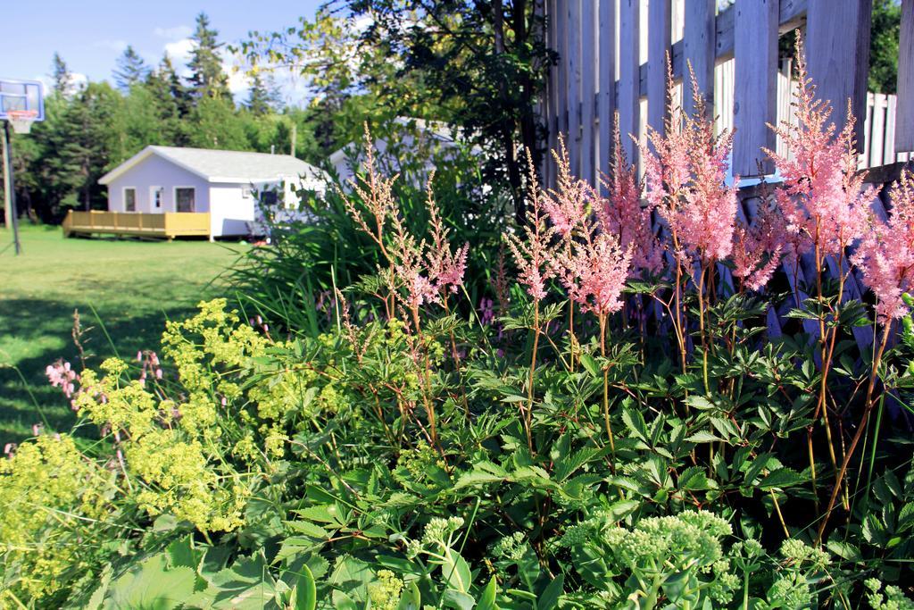 Hidden Acres Cottages Кавендиш Екстериор снимка