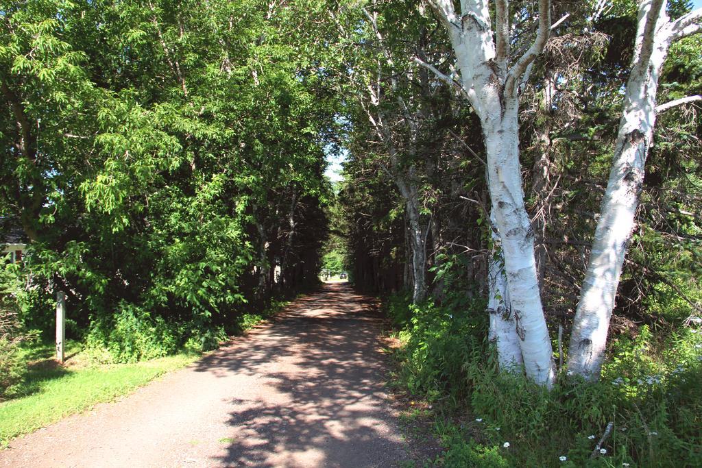 Hidden Acres Cottages Кавендиш Екстериор снимка